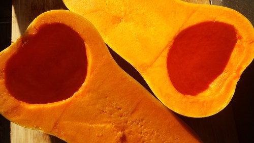 Butternut Squash