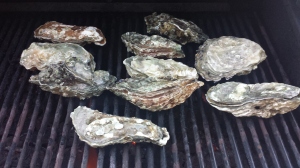 Grilled Oysters whole