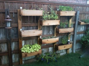 Garden Ideas13
