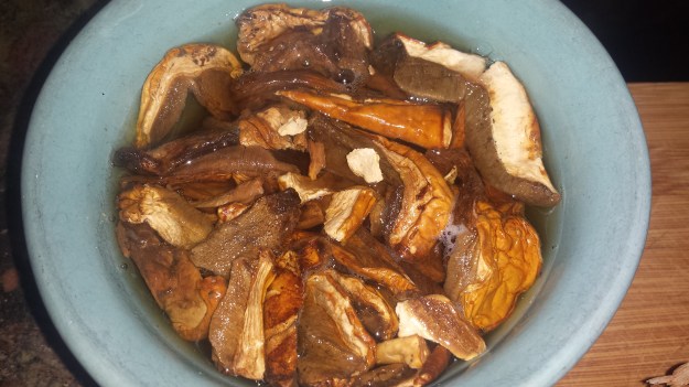 Mushroom Pappardelle3