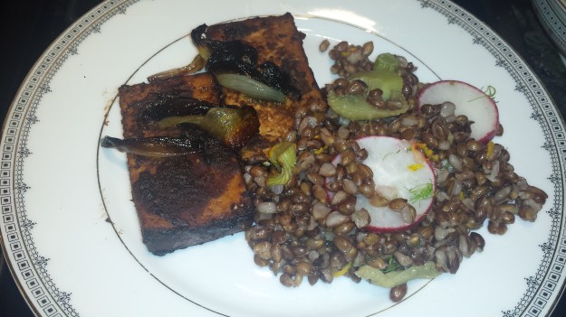 Tofu and Barley9