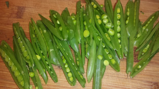 Zucchini Spiral Salad2