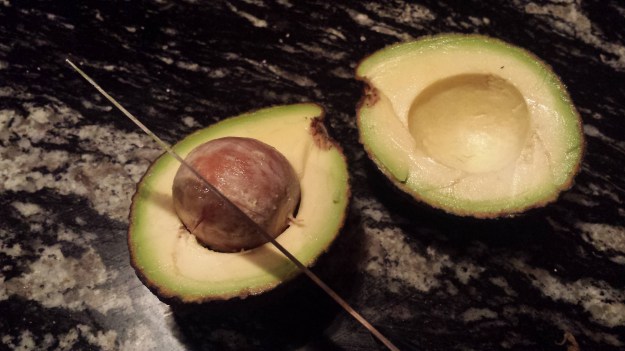 Grilled Avocado Caprese Salad