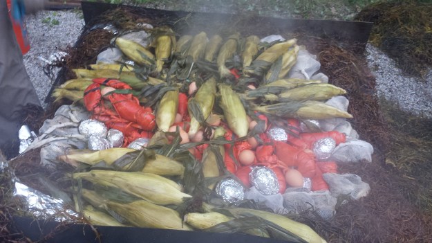 Lobster Bake10