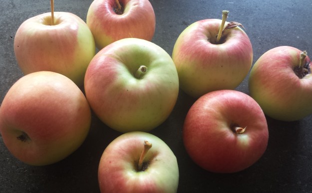 Apple Honey Challah16