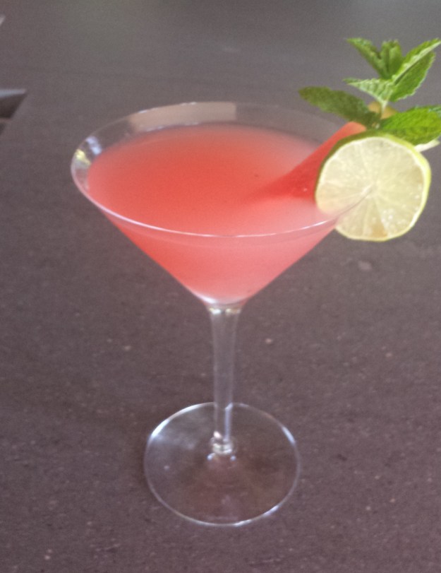 Watermelon Breeze11