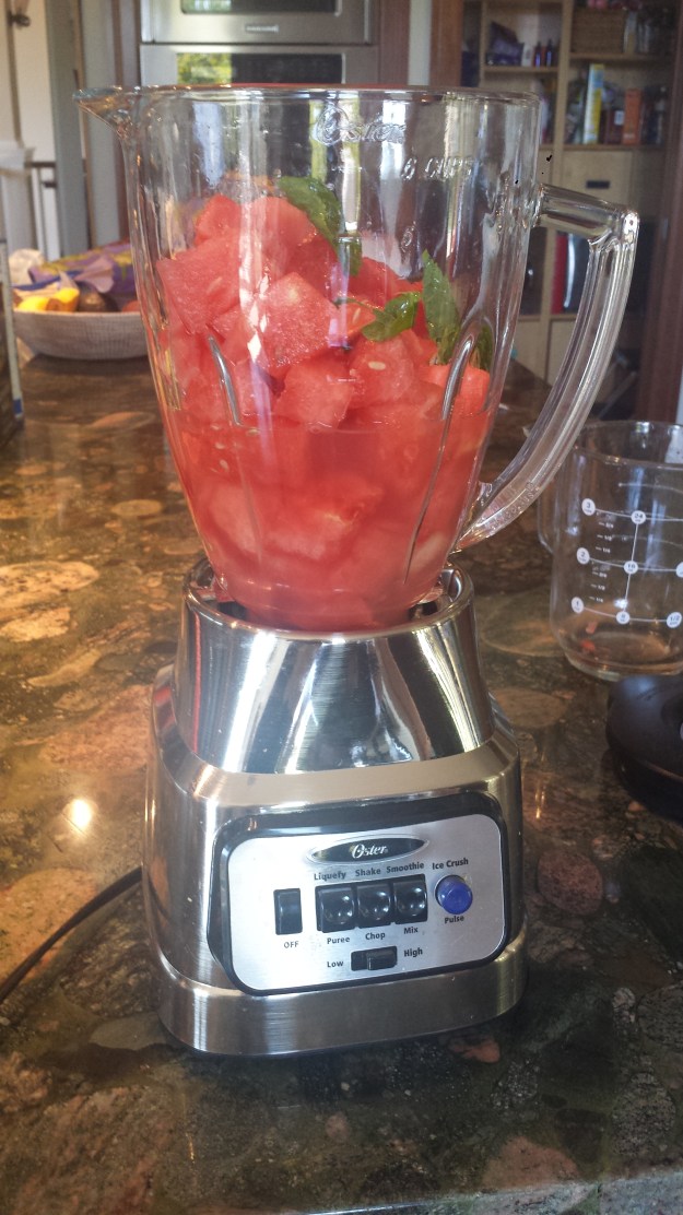 Watermelon Breeze8