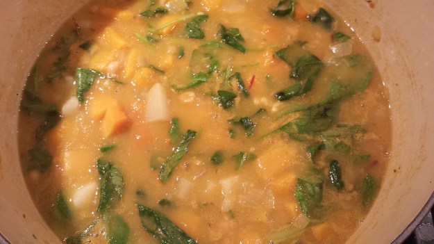 Autumn Harvest Soup9