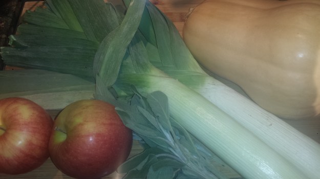 Butternut Squash Gratin5