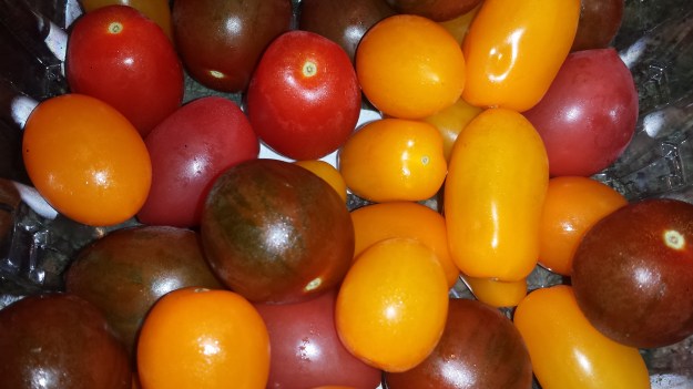 Linguine Eggplant Caper2