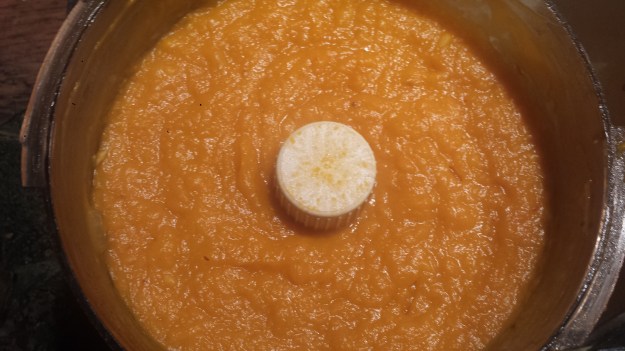 Coconut Curry Butternut Squash Soup3