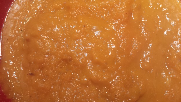 Coconut Curry Butternut Squash Soup4