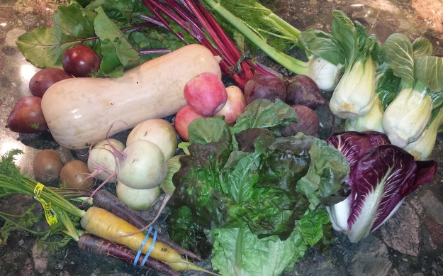 Green Salad with Crispy Quinoa1