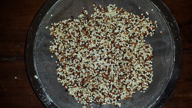 Green Salad with Crispy Quinoa3