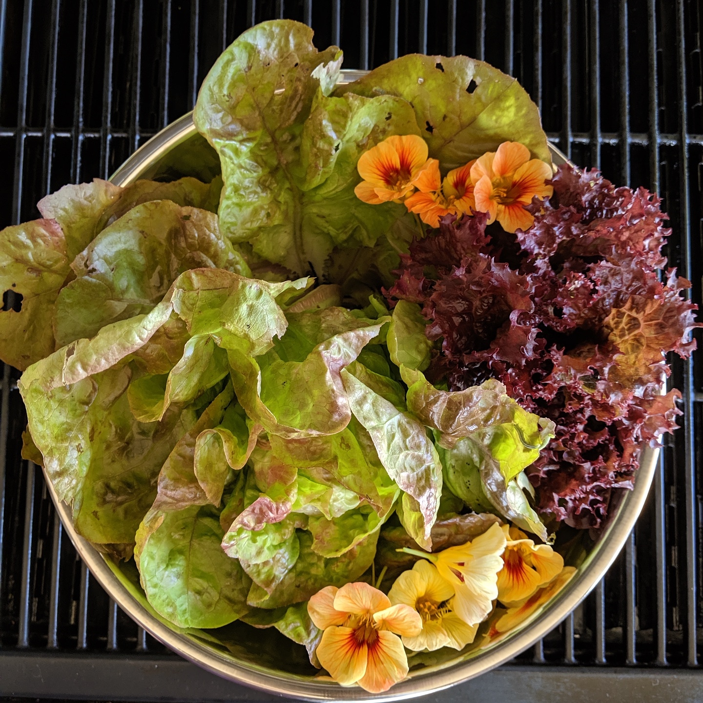 IMG_20190605_182023_011